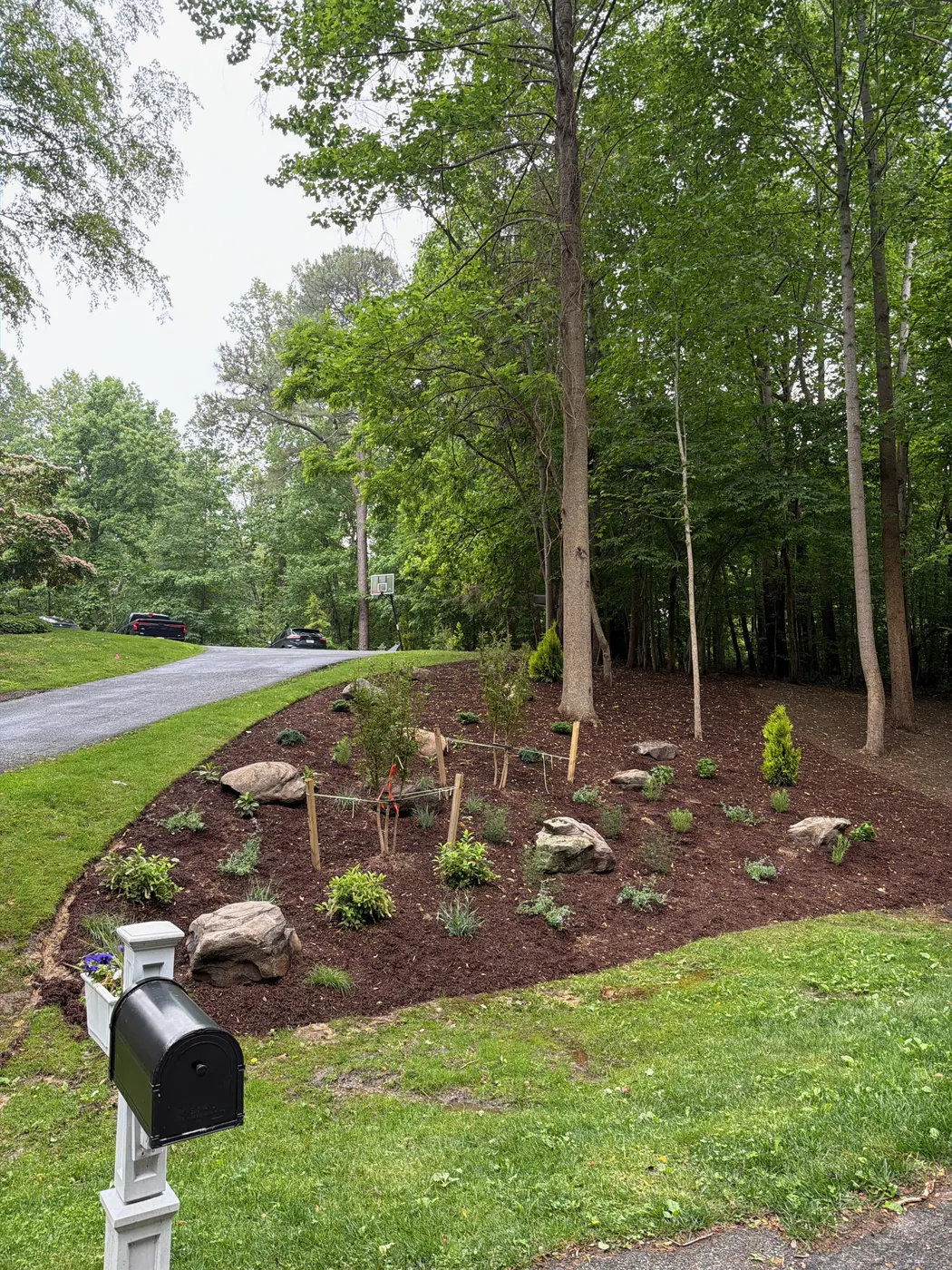 New landscape bed with boulders and young plants beside a mailbox