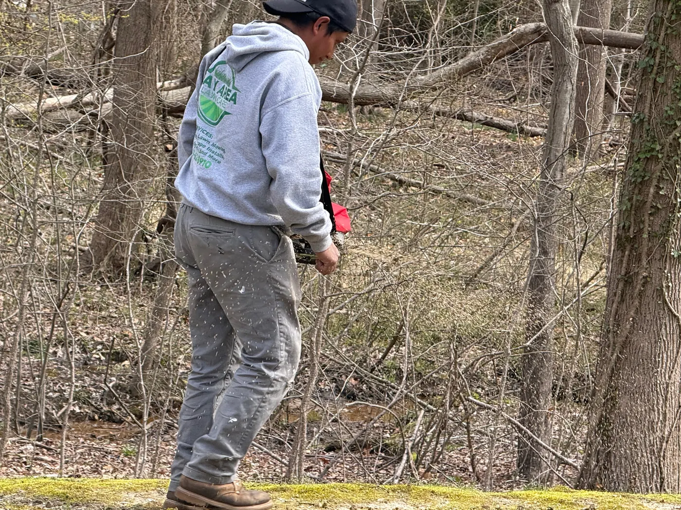 Bay Area Lawn Care crew member clearing trees at the edge of a road