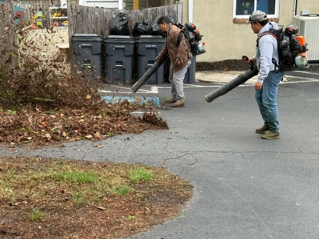 Bay Area Lawn Care crew clearing leaves from a driveway with backpack blowers